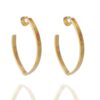 Brinco Argola Oval Folheado A Ouro 18k