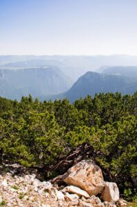 Se você tiver interesse em aprender mais sobre como fazer uma leitura ou sobre um tipo específico de oráculo, sinta-se à vontade para perguntar!