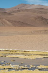 Histórias de Consulta: Experiências Transformadoras com o Tarô