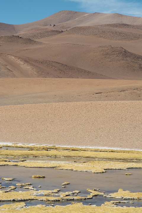 Histórias de Consulta: Experiências Transformadoras com o Tarô