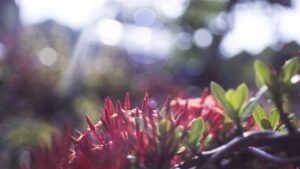 Astrologia em Foco: O Que Esperar de Cada Signo em [Mês/Ano]