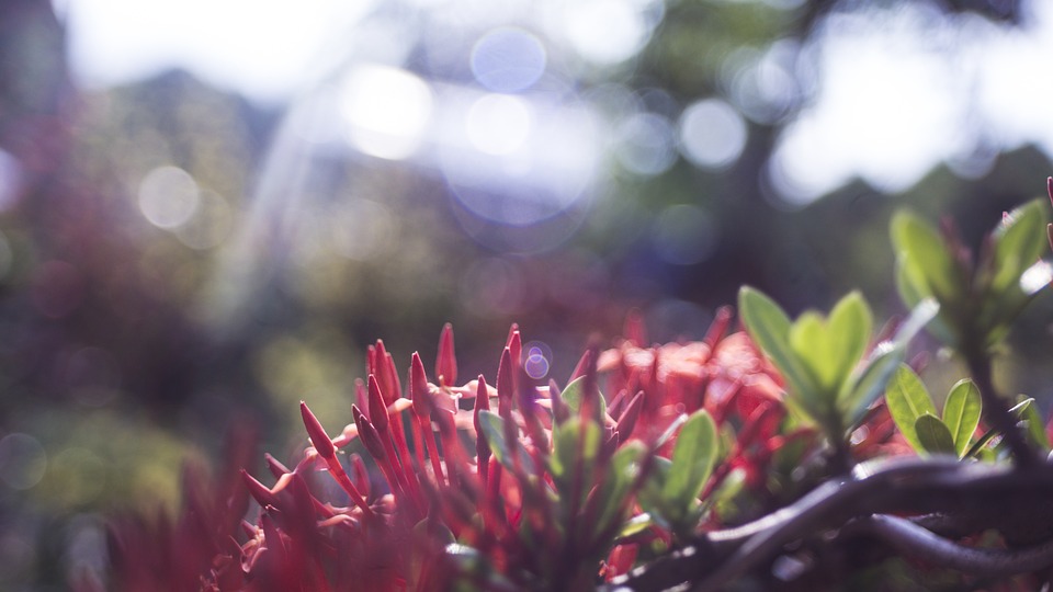 Astrologia em Foco: O Que Esperar de Cada Signo em [Mês/Ano]